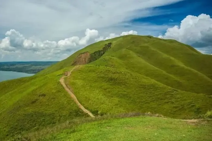 Bukit Holbung, Destinasi Wisata Alam dengan Pemandangan Danau Toba di Samosir