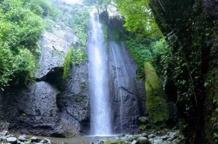 Curug Nangka, Pesona Air Terjun dan Petualangan Alam yang Menakjubkan di Bogor